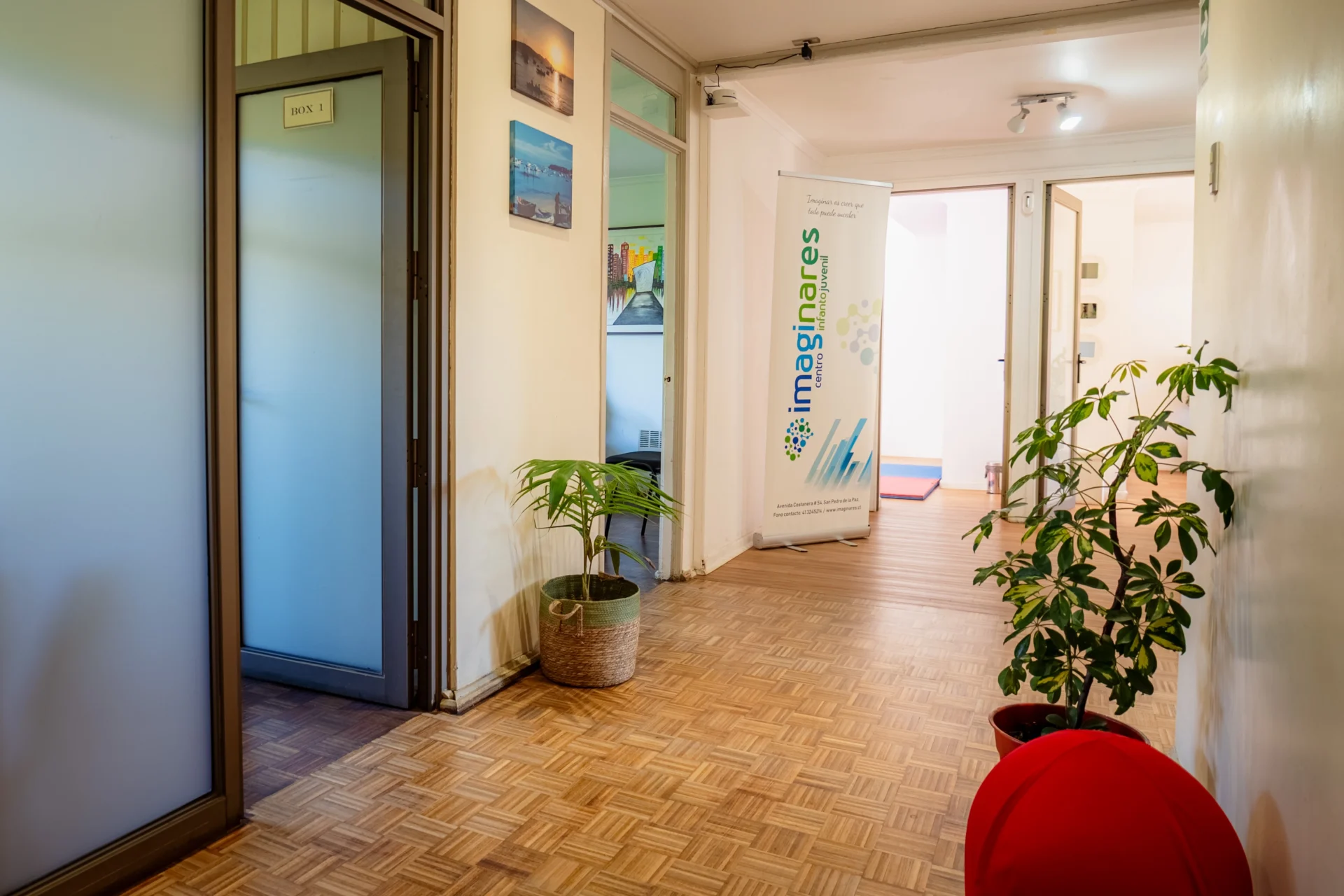 Carrusel imaginares (11)