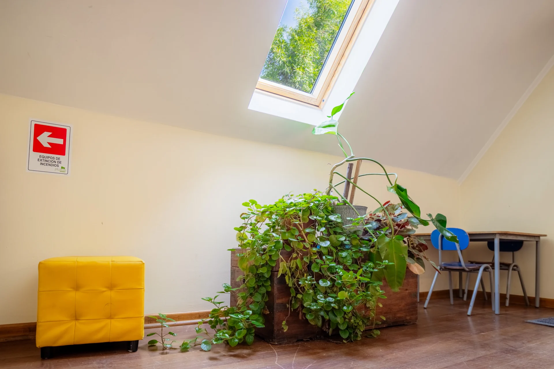 Carrusel imaginares (7)